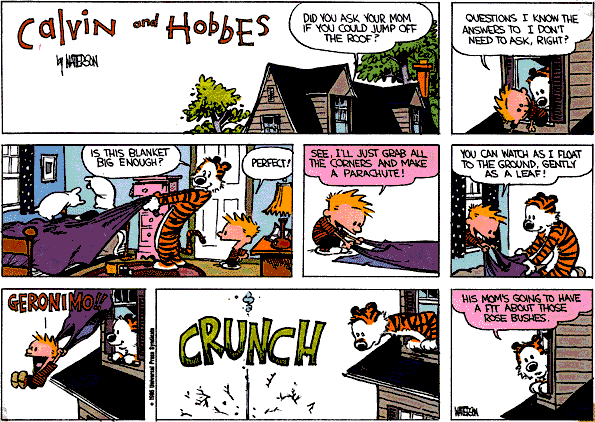 Calvin and Hobbes