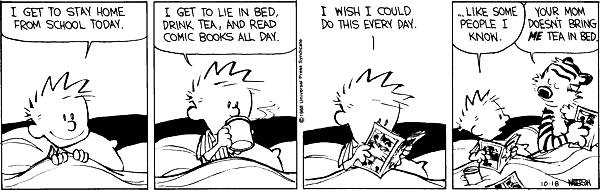 Calvin and Hobbes