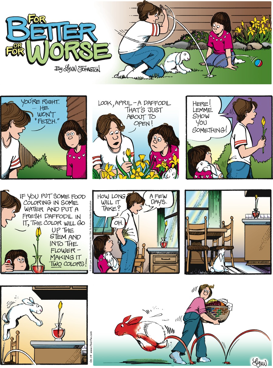 For Better or For Worse